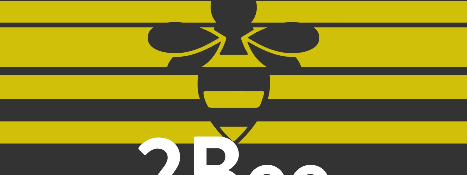 Banner del profilo pubblico di 2bee2